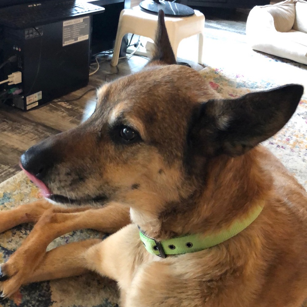 Meet your Posher, Jenifer